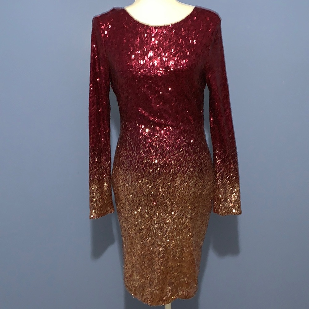 Fashion Nova Dress Long Sleeeve